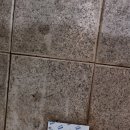 백송온천관광호텔 이미지