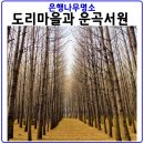 도리정 이미지