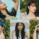 나인 이미지