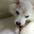 까까PC 네이버블로그