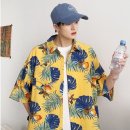 499 이미지