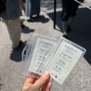 전씨금방 | 도쿄 디즈니씨 오픈런 후기🎢 입장시간, DPA, 싱글라이더 등 꿀팁 총정리