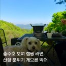 게으른오후 - 제주시 중산간서로 4620 | 애견동반 충주여행 국내여행지추천! 충주호 뷰를 보며 끓여 먹는 캠핑 라면, 악어봉 게으른 악어 카페 후기