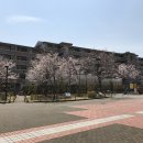 아자인력 이미지