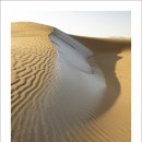 중국 바단지린사막 출사 1편 이미지