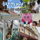 이마트24 군산미공군점 | 세종 아기랑 주말 나들이 추천 "국립생태원" 주차꿀팁, 식당 비추, 군산 이성당