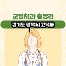 경기도 평택시 고덕동 교정치과 총정리
