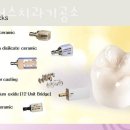 리더스 치과기공소 이미지