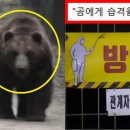 소동농장 이미지