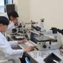 미래산업개발연구소