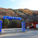 그리네펜션 티스토리