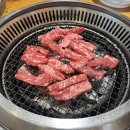 (주)두꺼비재생사업단 | 25년 6월 주간일기 1_여름을 맞이하며 (고요산장, 노들섬, 클라우스 메켈레&amp;임윤찬 )