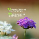 푸른향기님 이미지
