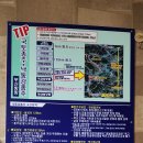 상주보자전거민박 이미지