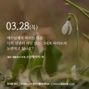 소금항아리 이미지