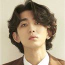 세계로정보 이미지
