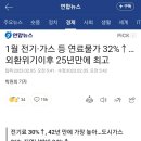 1월 전기·가스 등 연료물가 32%↑…외환위기이후 25년만에 최고 이미지