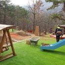 단양군산림조합 이미지