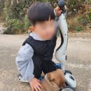 공인중개사 이영기사무소 이미지