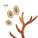 장수녹용 이미지