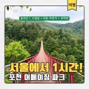 포천 액티비티 여름여행지! 어메이징파크에서 짚라인 수영장 흔들다리 과학관까지 한번에 즐기기