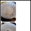 준오농장 이미지