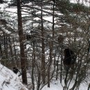 황산신발 이미지