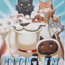 in K DOG 이미지