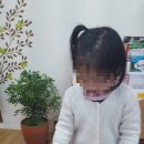창의유아가베 이미지