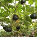 무정농장 이미지