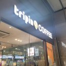 트리핀(Tripin) 이미지