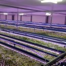 (주)디엘바이오 이미지