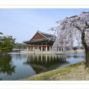 경화루 - 동두천시 생연로 45 | 경화루