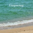경포로 | 강릉 여행 2박 3일 주문진 가볼 만한 곳 드라마 도깨비 촬영지 주차 포토존 꿀팁