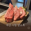 양소록 이미지