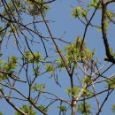 대구광역시립 두류도서관 이미지