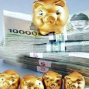 정해 태양광발전소 이미지