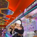 와와오락실 이미지