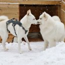 멍스테이션 이미지