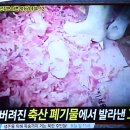 착한먹거리 이미지