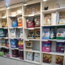 빙고네펫샵 이미지