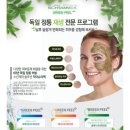 그린필스킨케어 네이버블로그