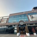 바움펫 | 파주 그릇아울렛 수입그릇 저렴하게 사온 후기