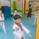 한국체대 인성금강 태권도 이미지