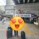 동서1길 | 안동 소담촌 샤브샤브. 의성 가음목욕탕.의성 치킨 맛집.원주꼬꼬.