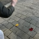 상동왕뚜껑삼겹살