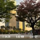 둘둘치킨여의도공원점 네이버블로그