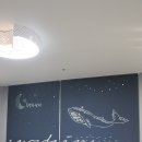 데이지가든 이미지