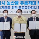 아산청과 이미지