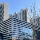 양재대로 84길 | 강동중앙도서관 10개월 아가와 유아자료실 이용 후기